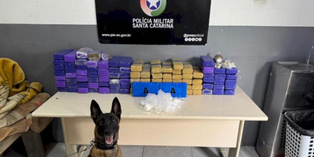 Foto: Divulgação Foto: Divulgação