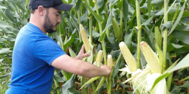 Produtor Leonardo Zeni utiliza bioinsumos há mais de cinco anos em sua propriedade, especialmente no controle de pragas e doenças nas plantações de mi