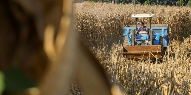 Crédito que acelera o presente e sustenta o futuro do campo