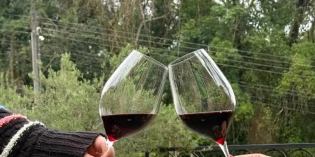 O vinho também conta a história de Urussanga..